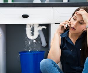 About The Faucet Pros Livonia, MO